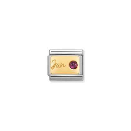 030519/01 Classic Stainless Steel Link with 18ct YG Birth Month Plate & Stone (January Garnet)