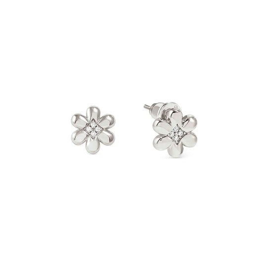 Silver Flower CZ Stud Earrings 242304/010