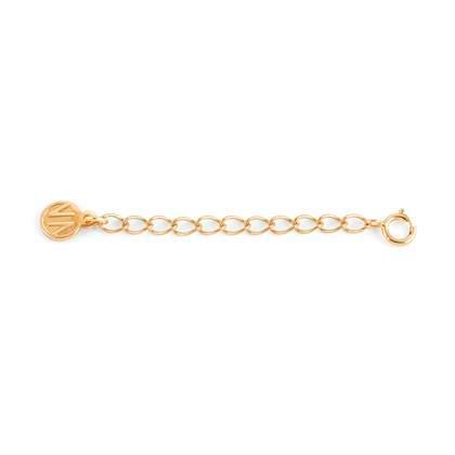 009998/019 Extender for curved chain ygp/silv