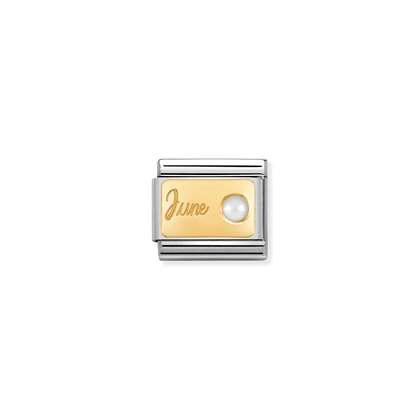 030519/06 Classic Stainless Steel Link with 18ct YG Birth Month Plate & Stone (June - Pearl)