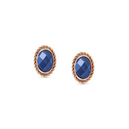 027821/007D Oval Rose Gold & Steel Dark Blue Twist Earrings